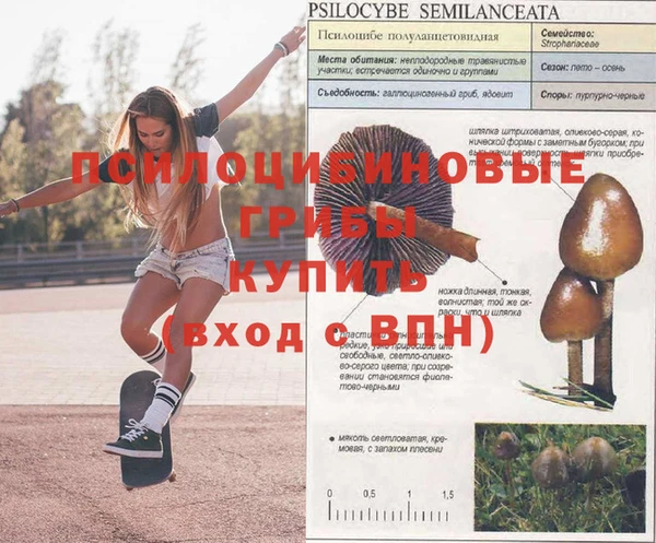дистиллят марихуана Алексин