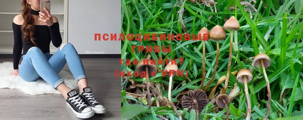 PSILOCYBIN Абинск
