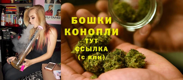 PSILOCYBIN Абинск