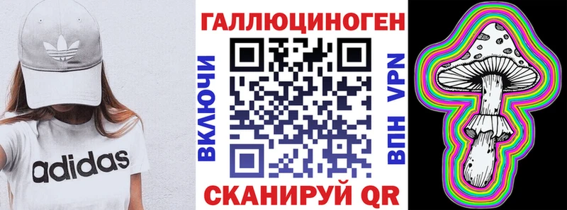 Галлюциногенные грибы мицелий  маркетплейс состав  Новотроицк 